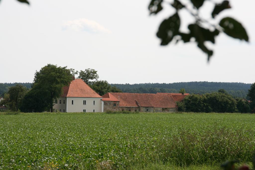 Langquaid Historischer Pfarrhof Niederleierndorf חדר תמונה